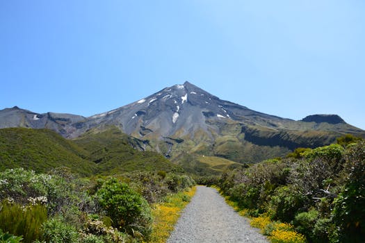 Volcanoes National Park, Rwanda photo 15