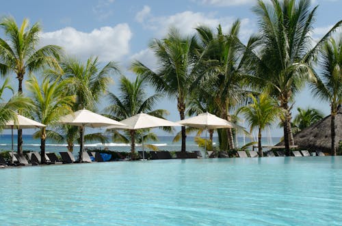bezplatná Základová fotografie zdarma na téma bazén, idylický, kokosové palmy Základová fotografie