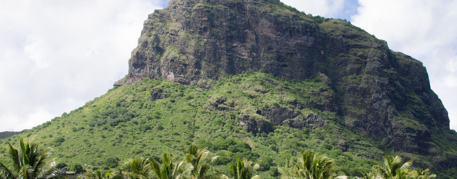 Scenic view of a lush mountain surrounded by coconut trees under a clear blue sky.