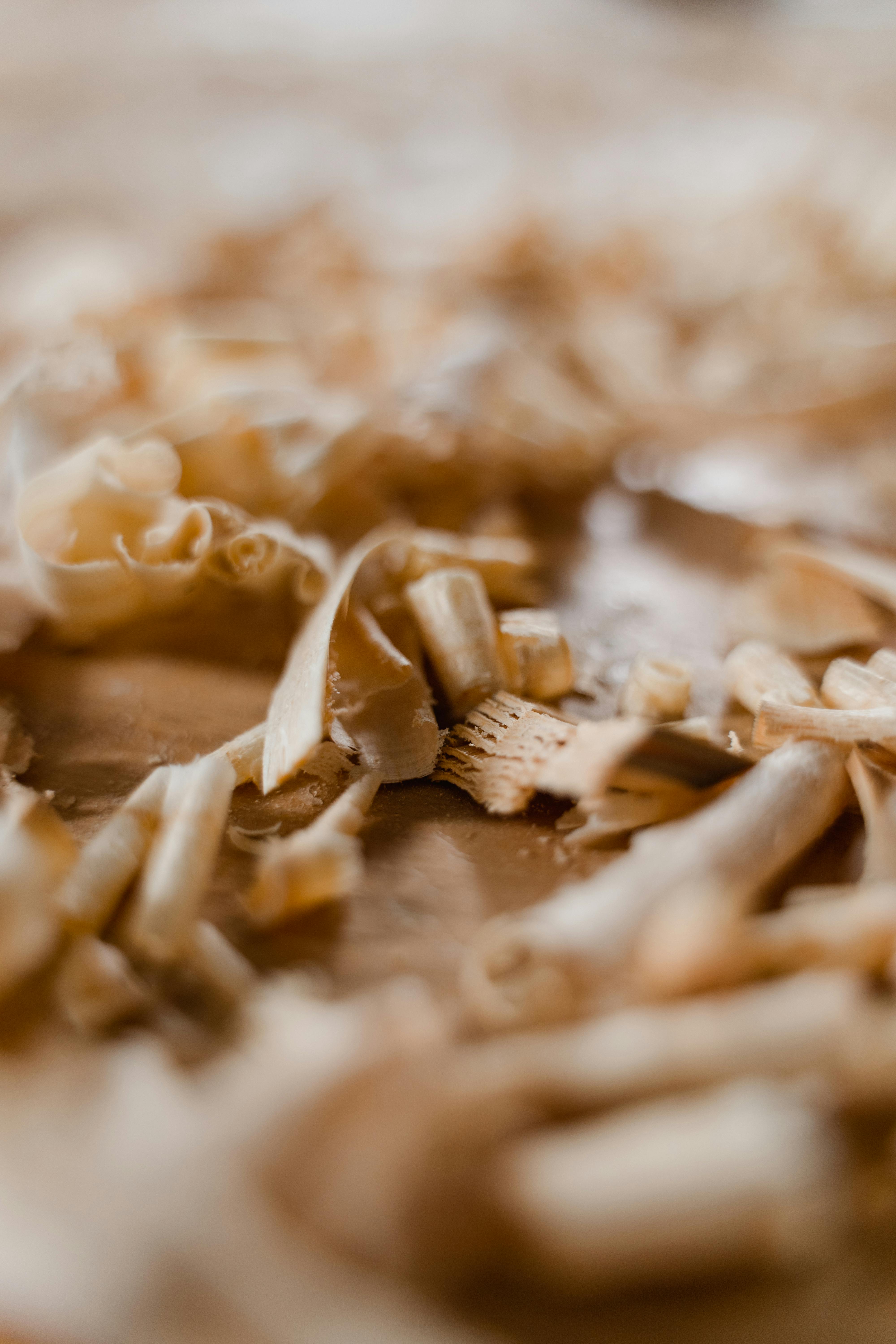 Detailed close-up image of wood shavings with emphasis on texture and selective focus.