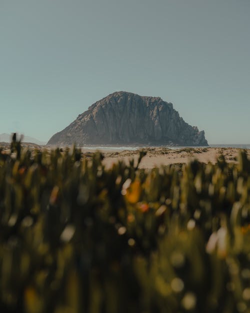 Foto d'estoc gratuïta de a l'aire lliure, aigua de mar, aiguamoll