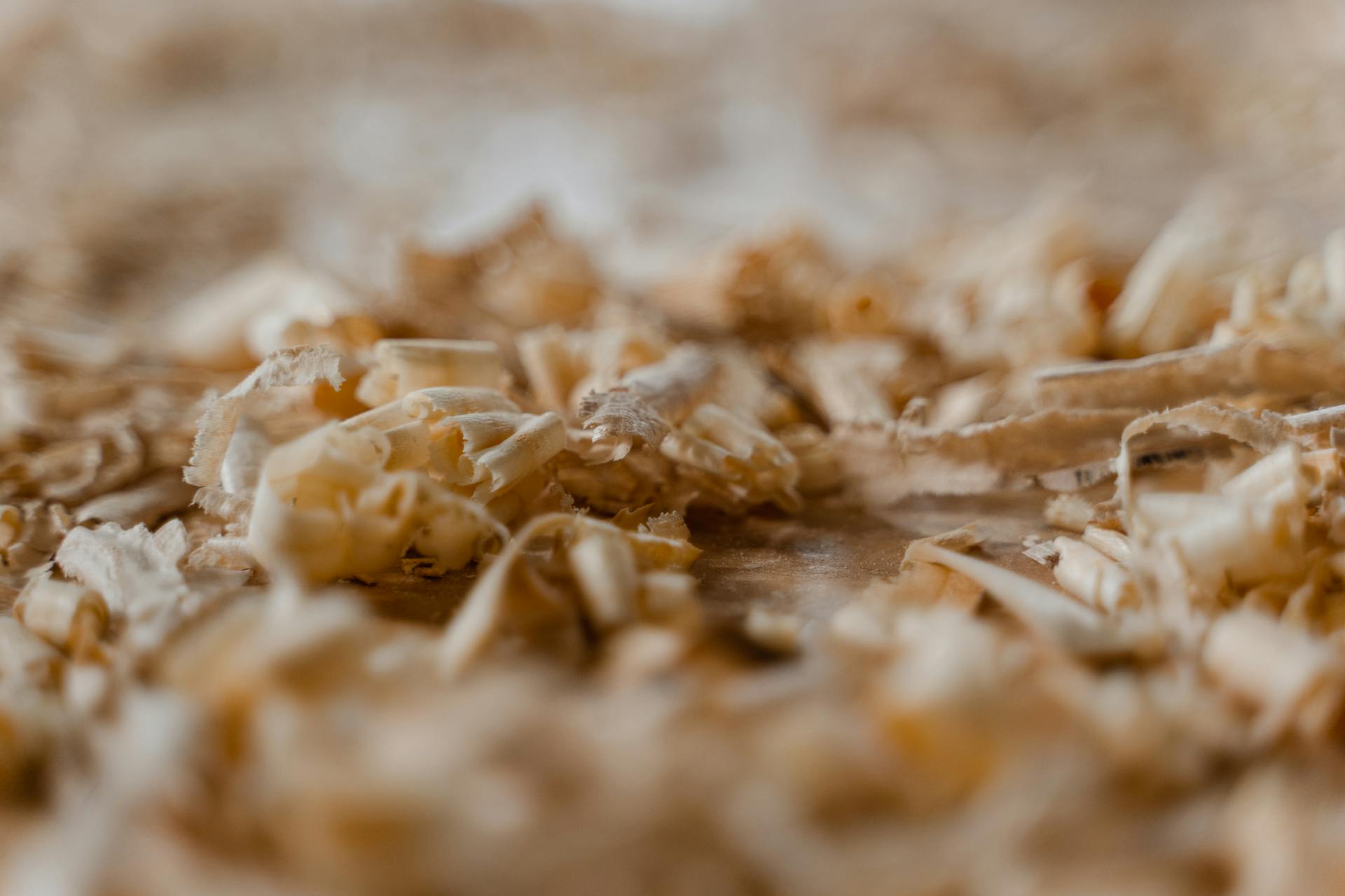 Close-up of Shredded Wood