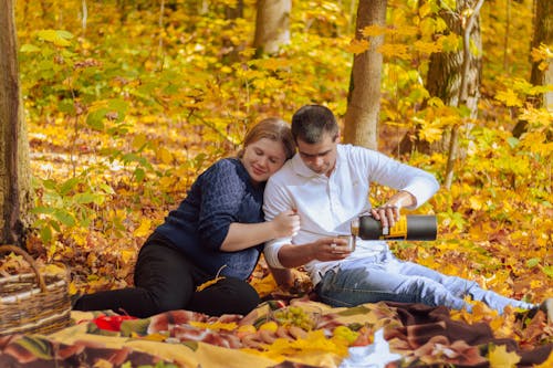 Gratis stockfoto met bladeren, bomen, Bos