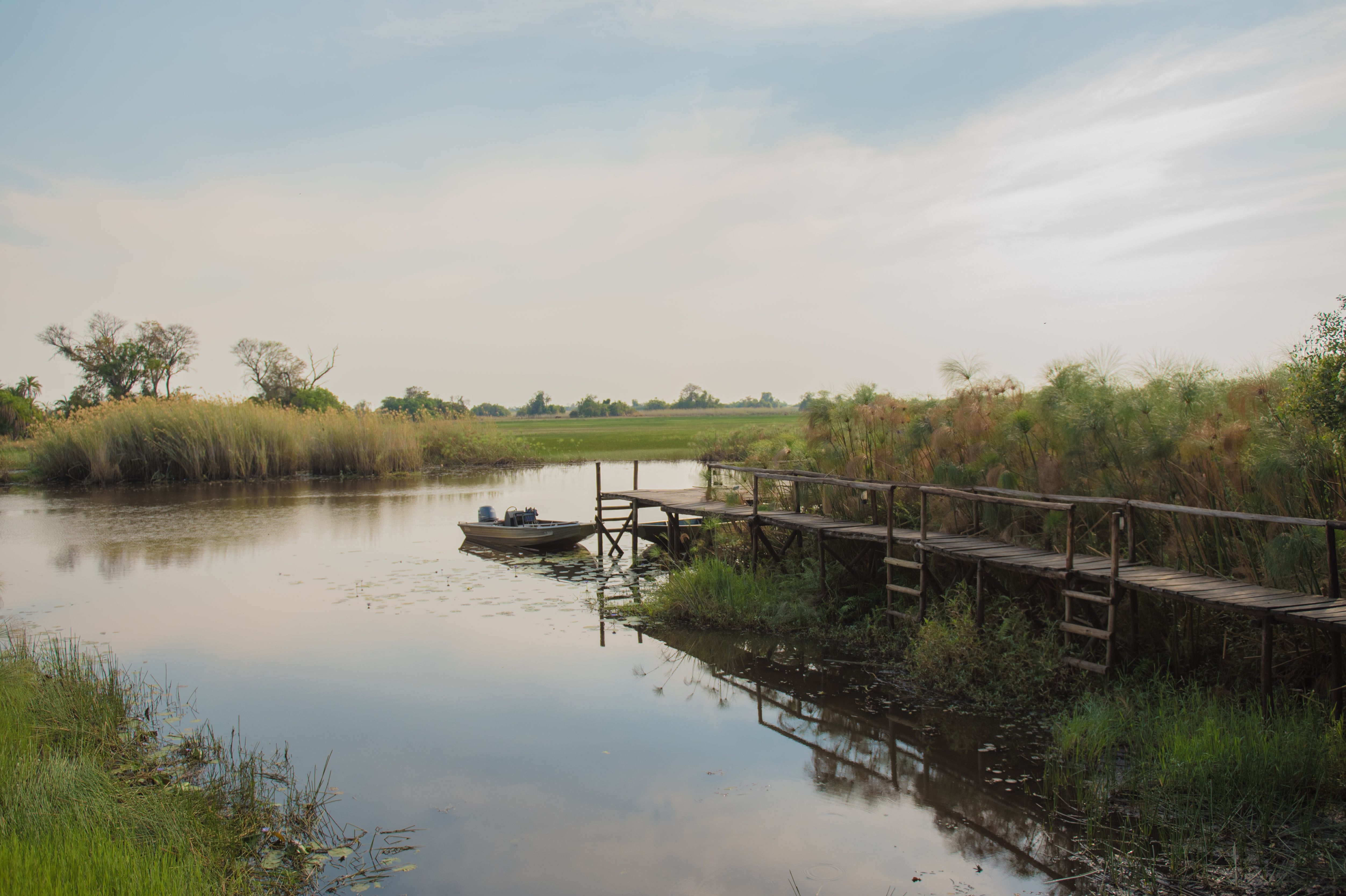 Peaceful riverside scene featuring a wooden pier and calm surroundings.