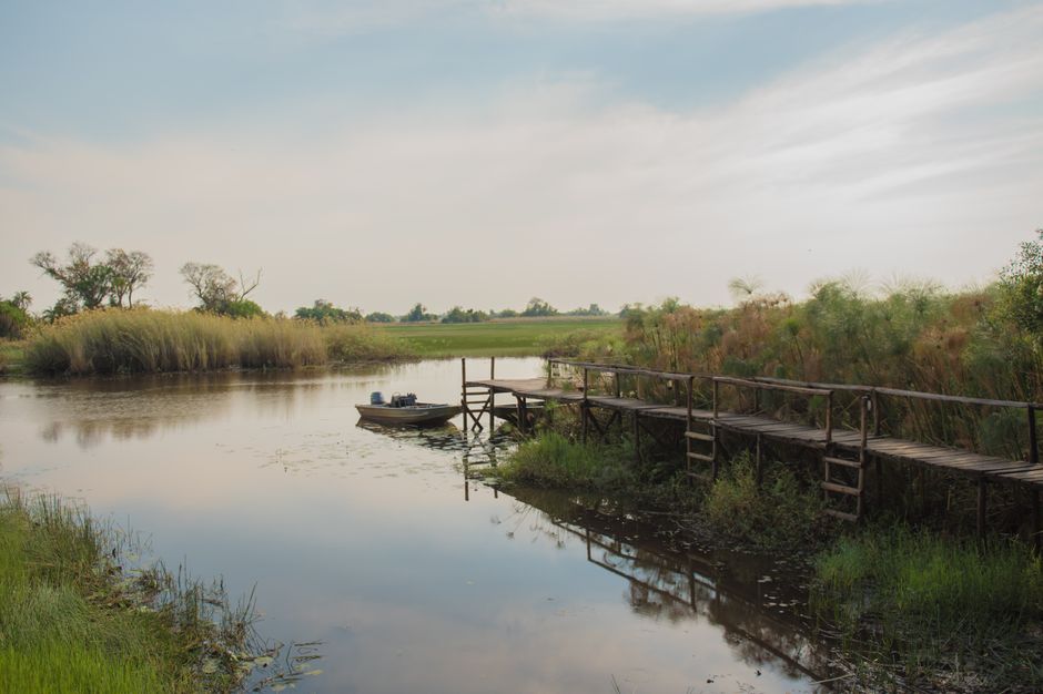 Peaceful riverside scene featuring a wooden pier and calm surroundings.