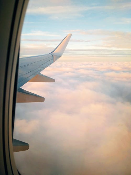 Foto d'estoc gratuïta de a través de la finestra, a través del vidre, aerolínia