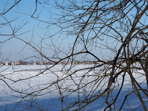 Foto profissional grátis de com frio, inverno, lago