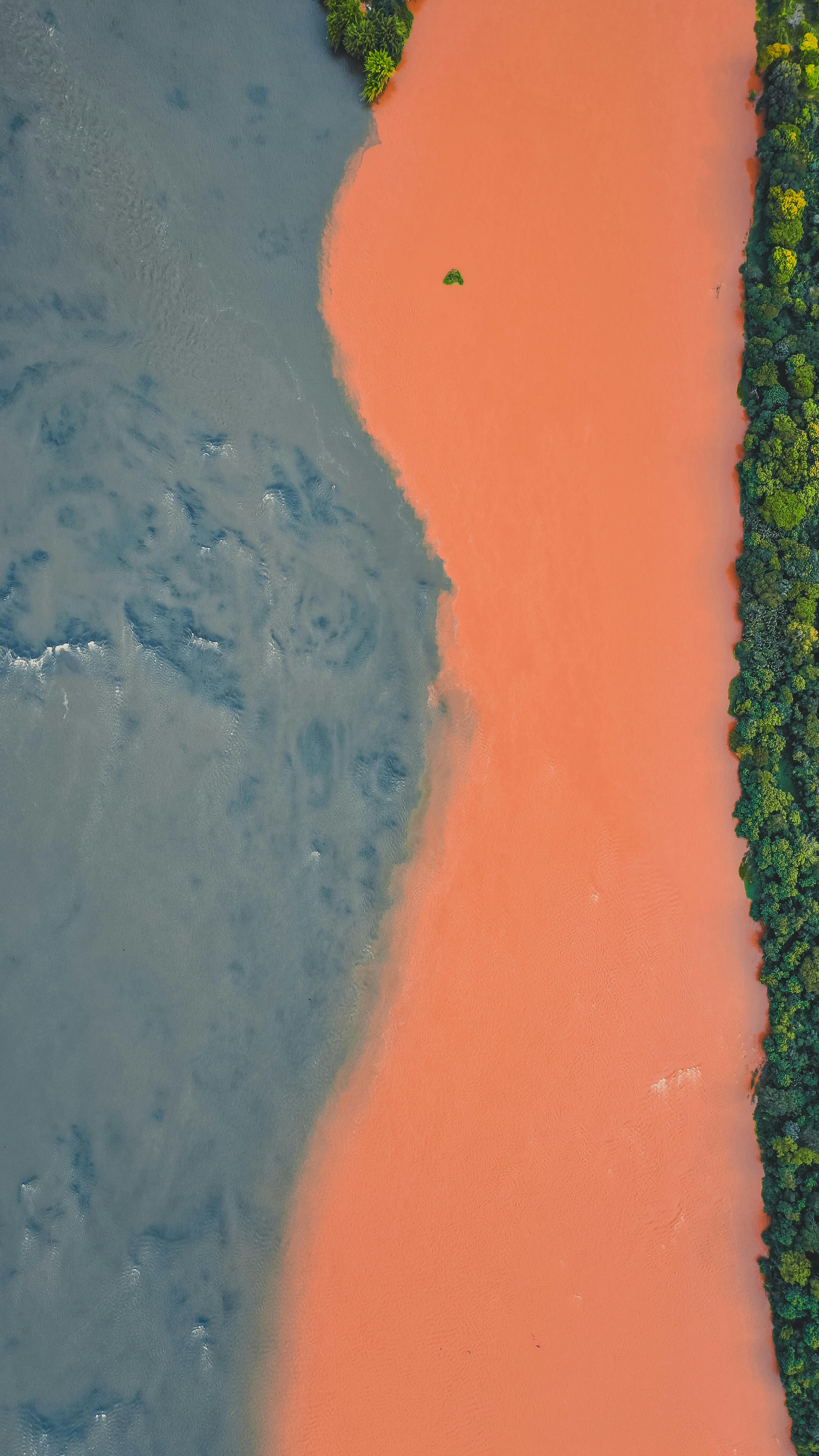 What do Amazon influencers get paid?