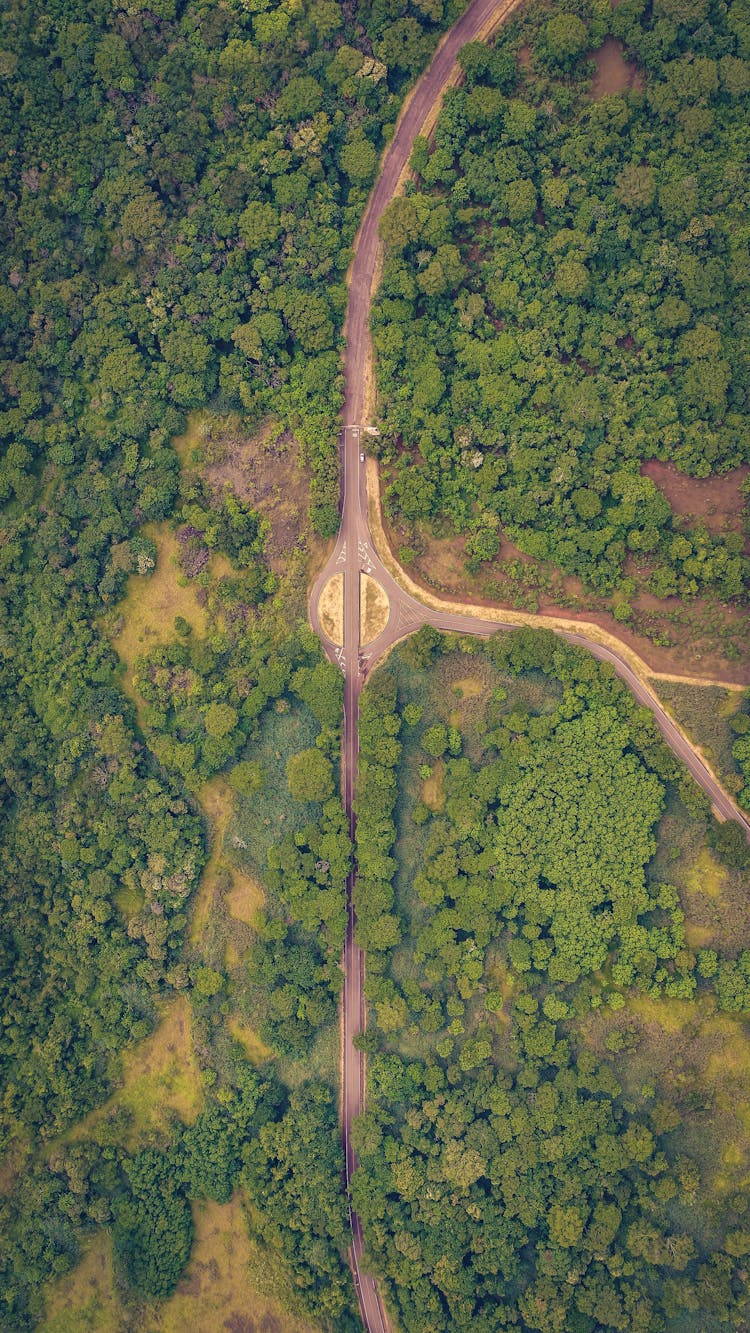 Traffic Circle On Road