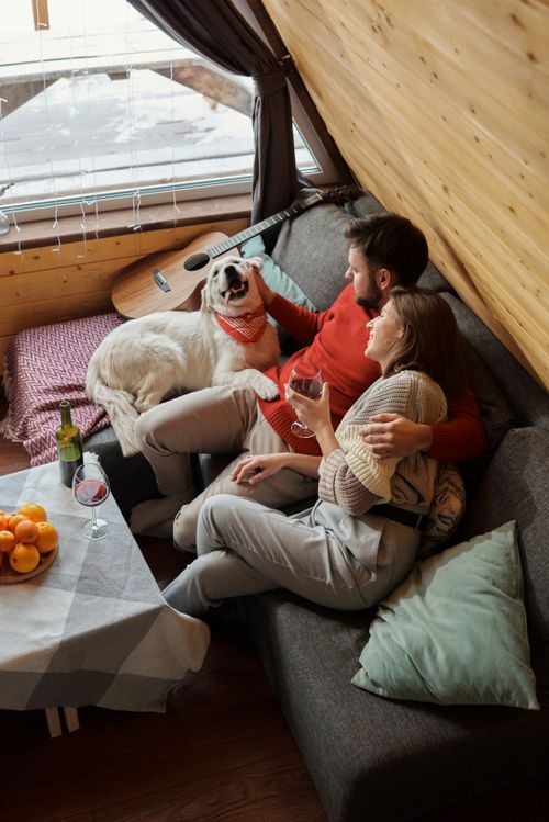 Free Couple enjoying a cozy moment on the sofa with their dog, wine, and guitar. Stock Photo