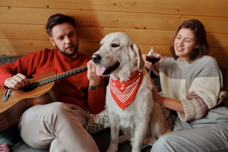 Couple Sitting In Bed With Their Dog, Woman Drinking Red Wine And Man Playing The Guitar