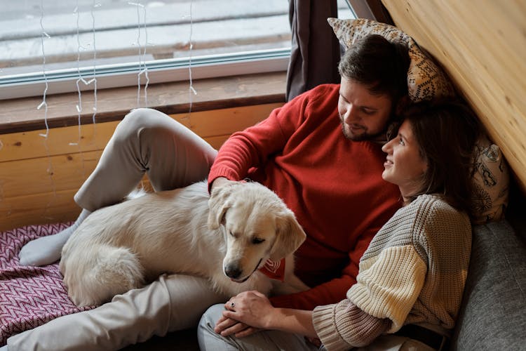 Man And Woman Lying In Bed With Dog