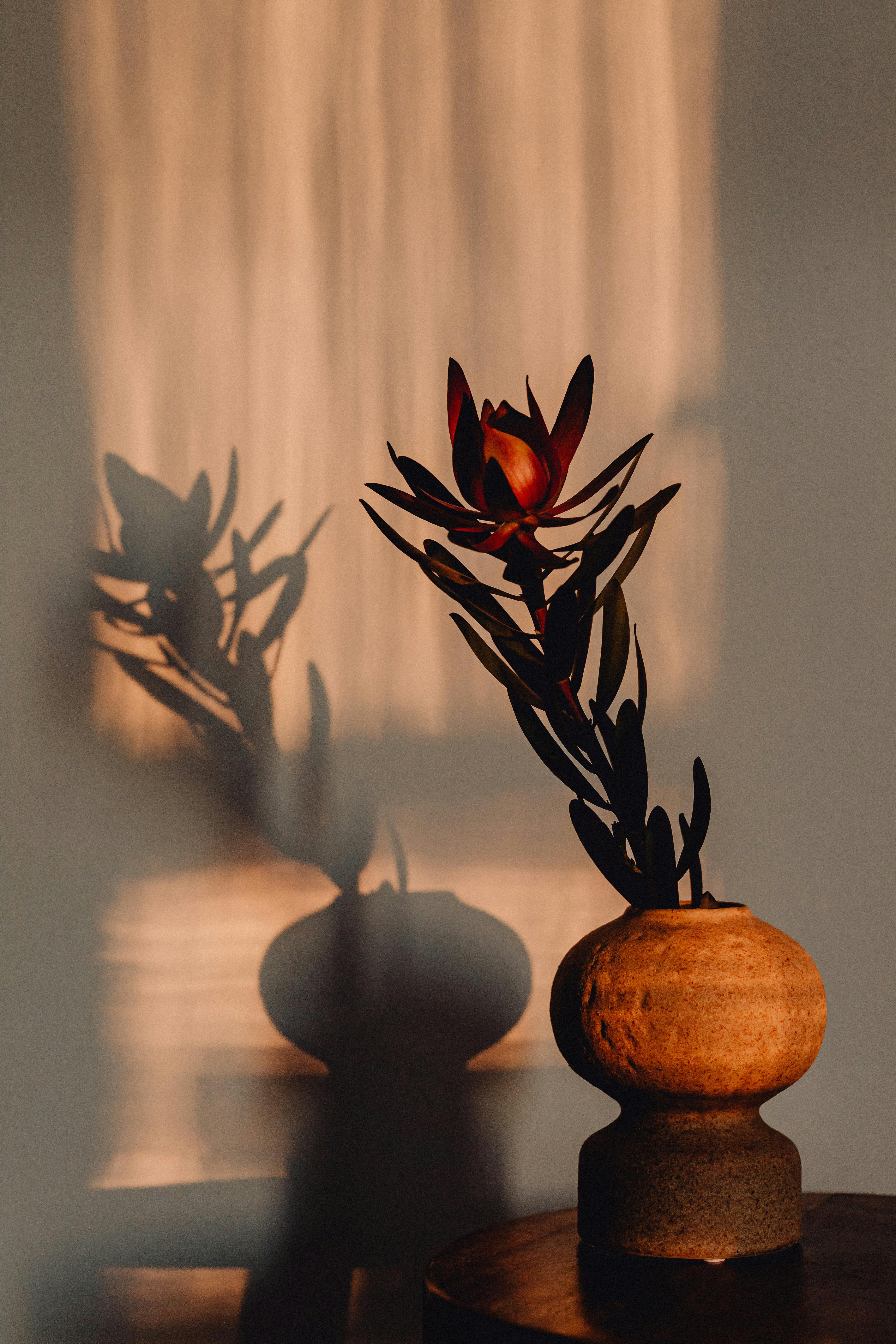 Vase high quality and Shadow