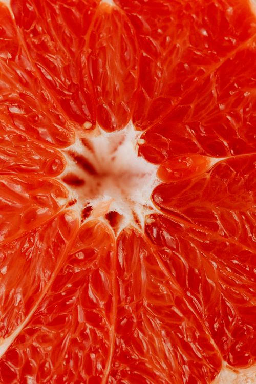 Free Detailed macro shot of a vibrant grapefruit with visible juice vesicles. Stock Photo