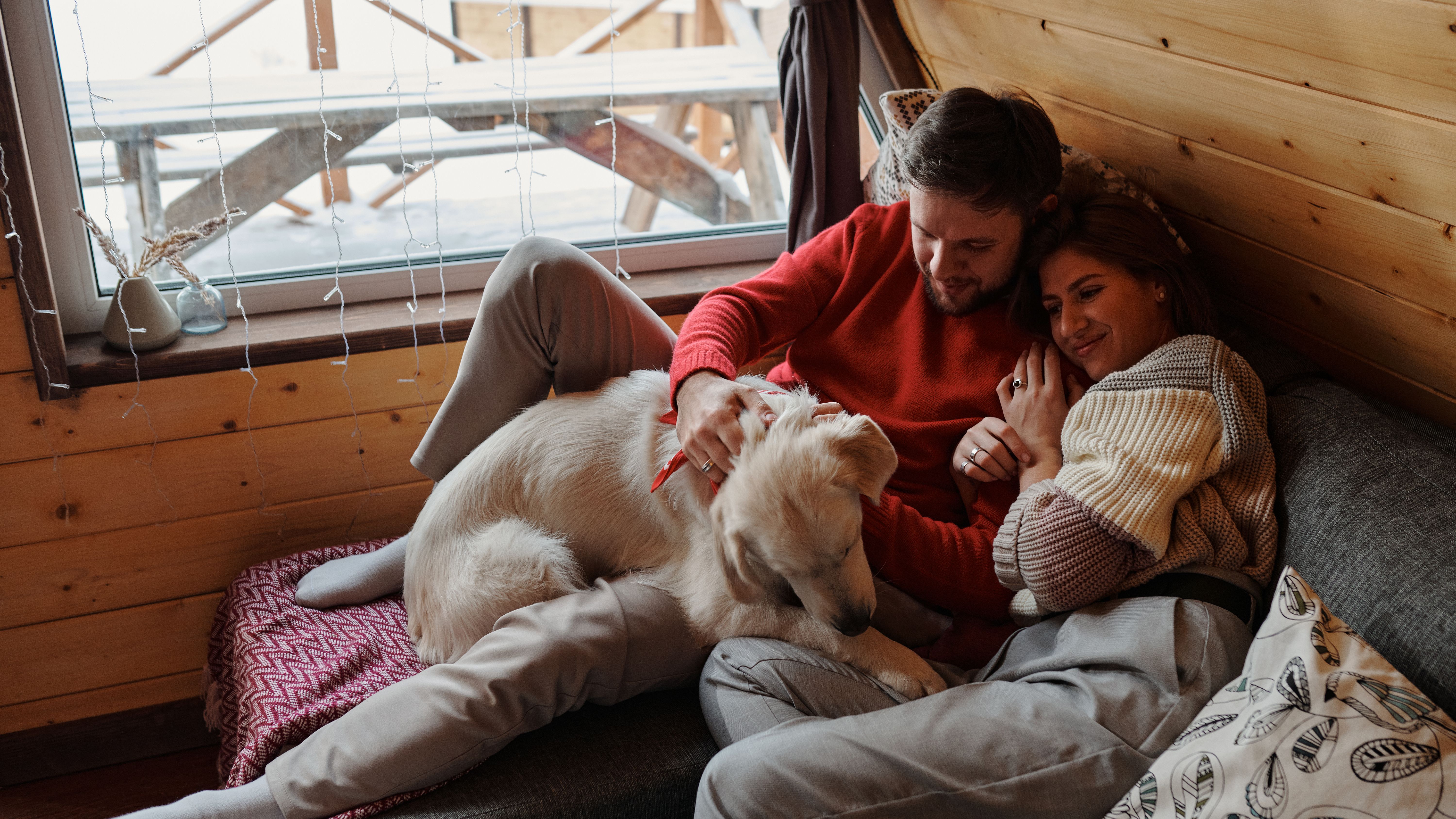 Where to Stay With Your Dog: Door County Guide 2026