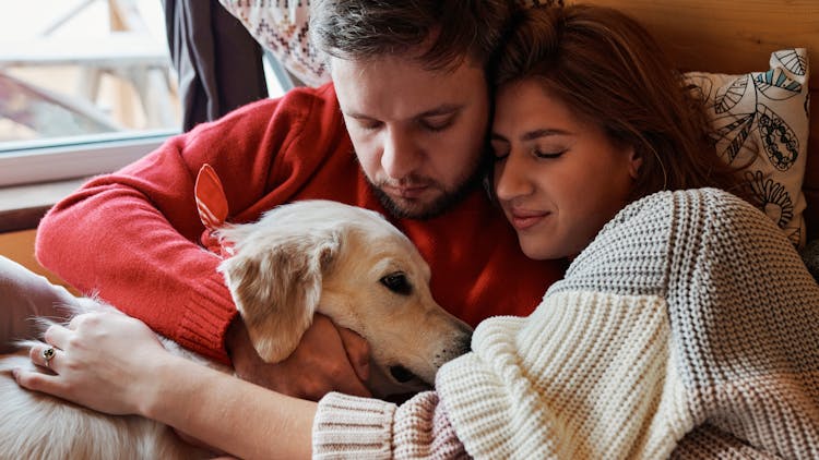 Couple Hugging Their Golden Retriever Dog