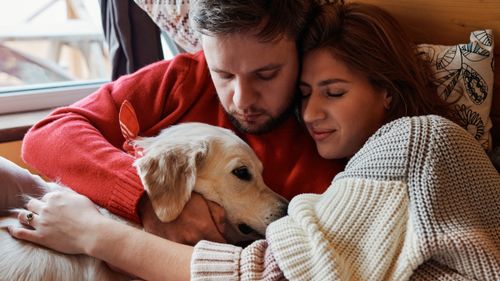 Free A loving couple cuddles a golden retriever dog inside a cozy home setting. Stock Photo