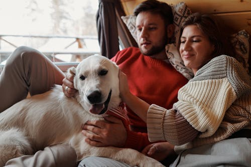 Couple Hugging in Bed with Their Golden Retriever Dog 