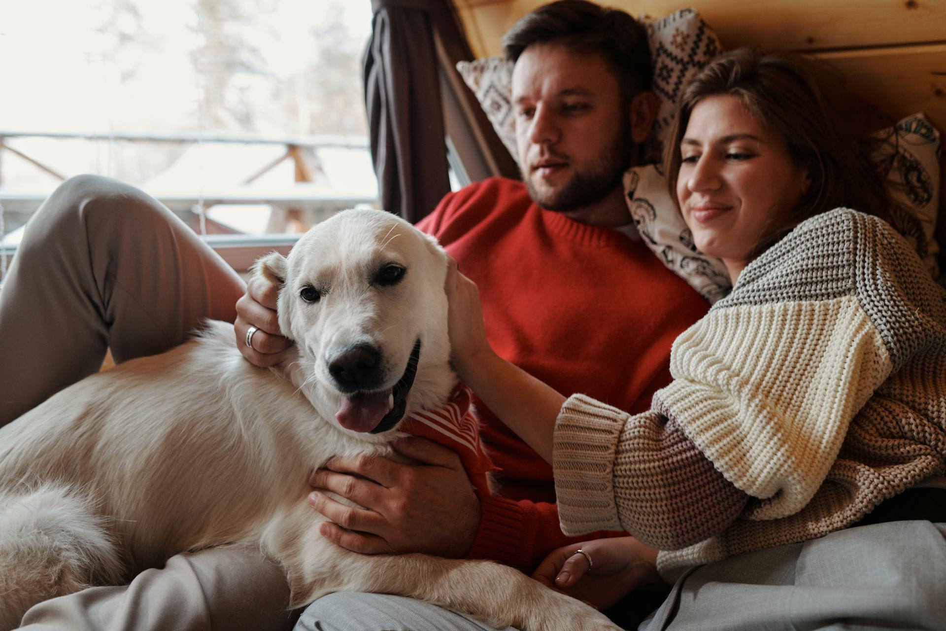 Couple Hugging in Bed with Their Golden Retriever Dog