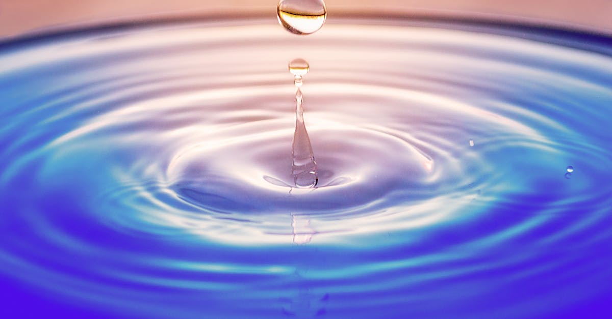 Macro Photography of Water Drops