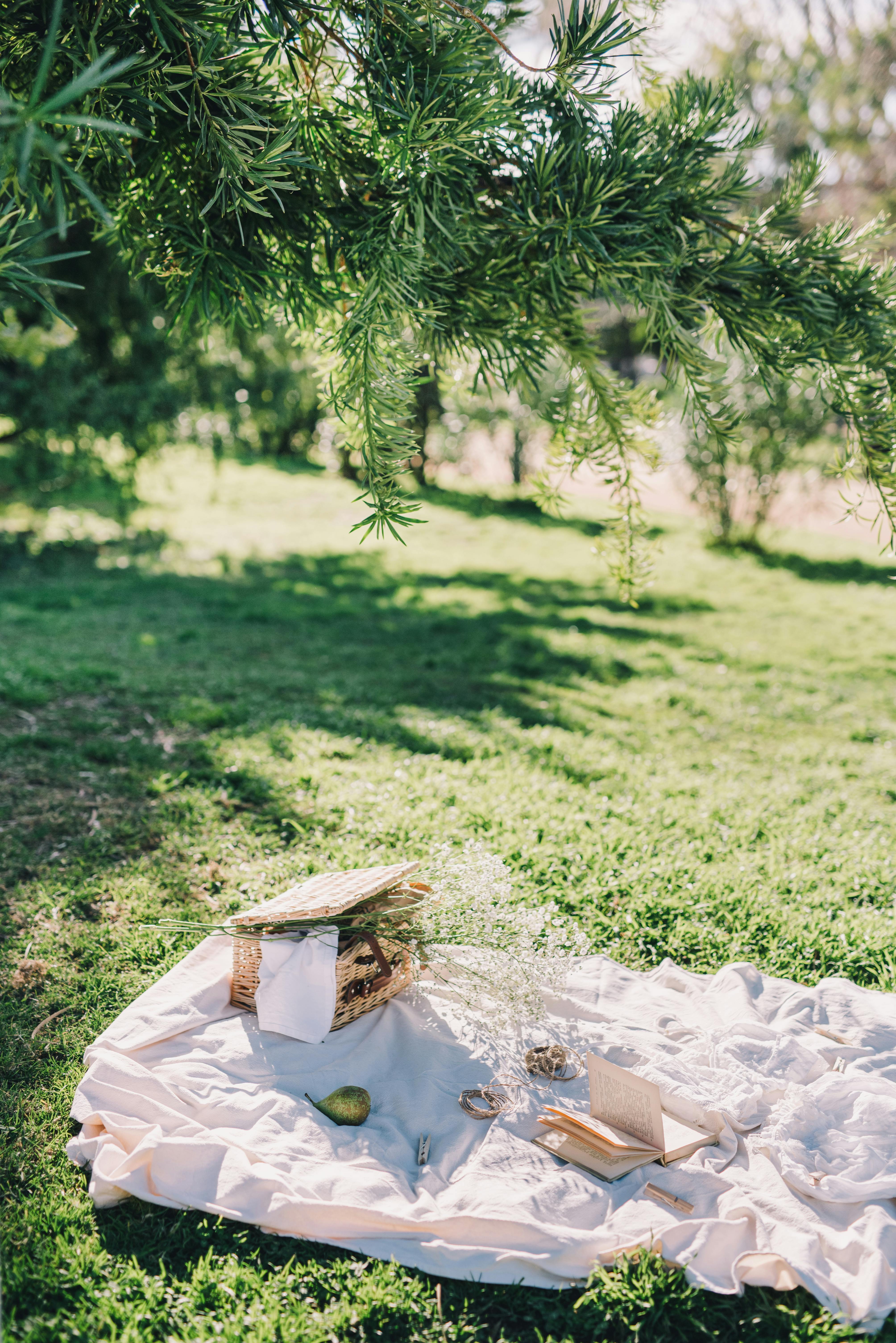 A peaceful picnic setup with a basket on a grassy field under lush greenery.