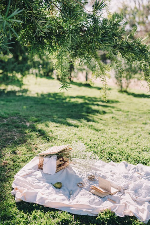 White Textile on Green Grass Field