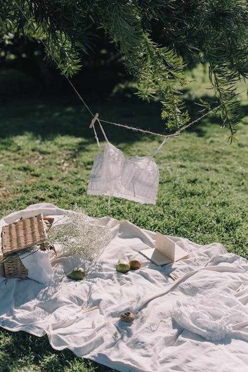  Hanging Brassiere On Clothesline Above A Picnic Blanket