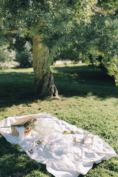 White Blanket in a Park