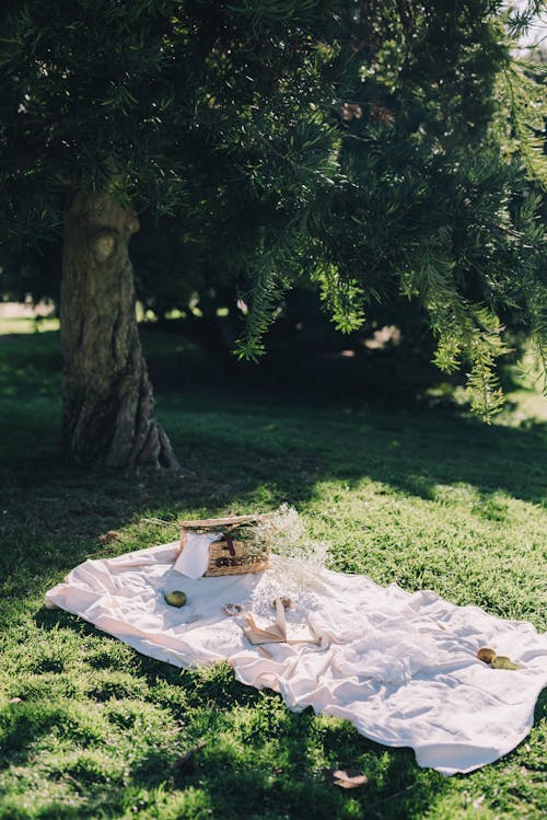 White Textile on Green Grass Field beside a Tree