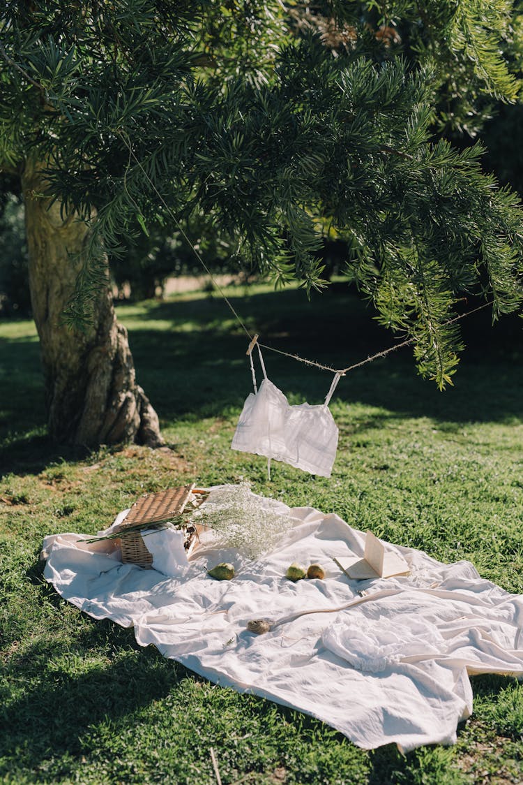 Blanket And A Picnic Basket On Grass In Summer 