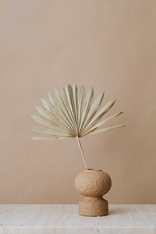 Dry Palm Leaf On Clay Vase