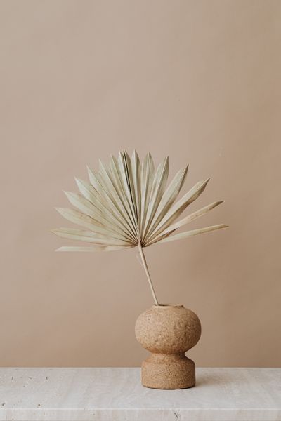 Dried palm fan in a cork vase — photo by kaboompics on Pexels