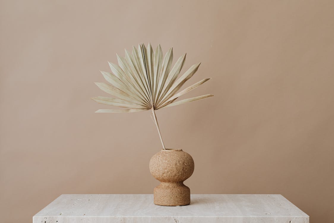 Ceramic Vase With Dried Palm Leaf