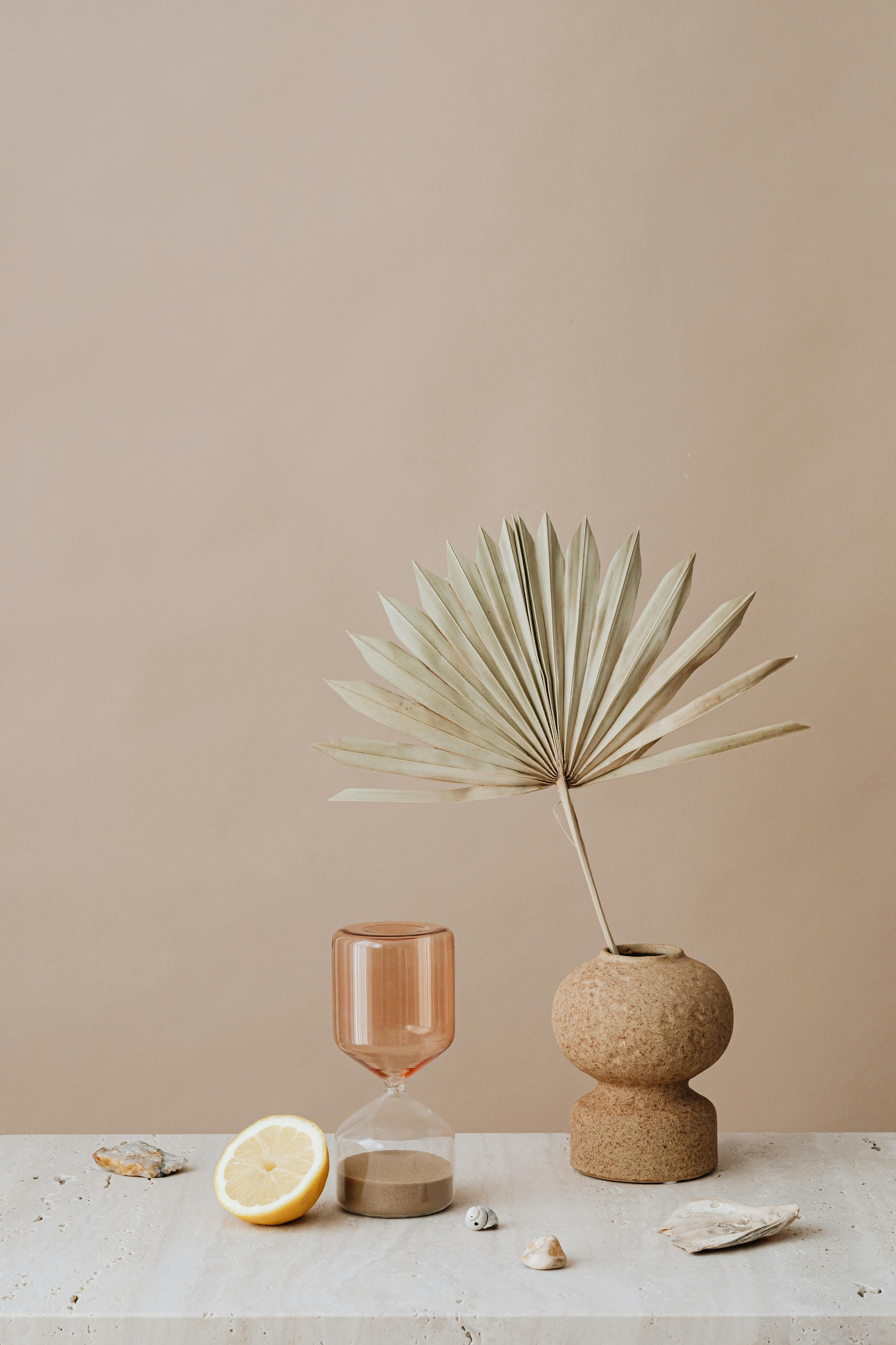 Serene minimalist composition featuring a palm leaf, hourglass, and lemon slice on a neutral background.