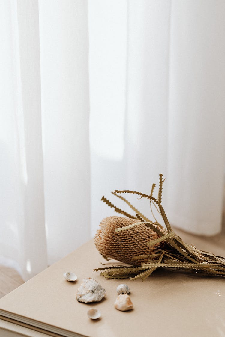 Brown Flower On The Table