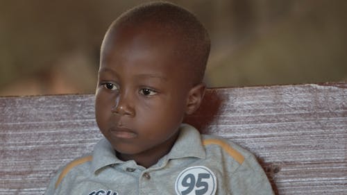 Free stock photo of black boy, black child, haiti