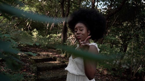 Free stock photo of afro, afro hair, beautiful black women