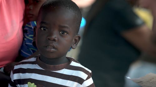 Free stock photo of black boy, boy, haiti