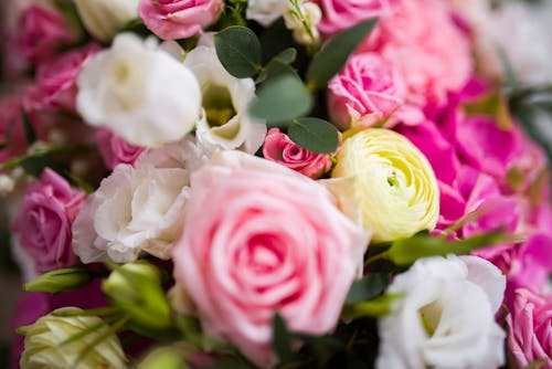 High angle of colorful bouquet of blooming fresh aromatic roses illuminated by daylight