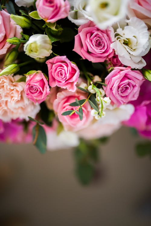 From above of bouquet of fresh roses and carnations with buds and green leaves on blurred background