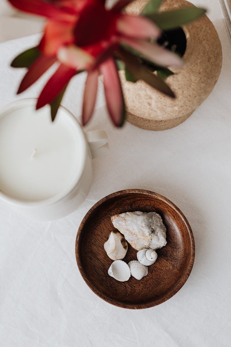 Seashells In A Bowl