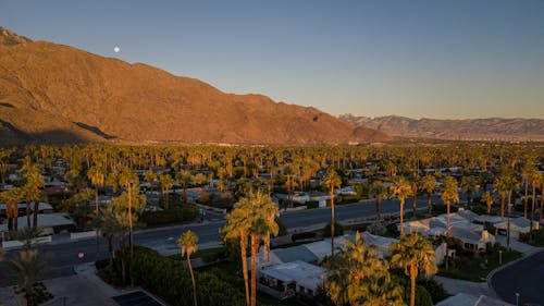 Drone Photography of a Residential Area surrounded with Palm Trees