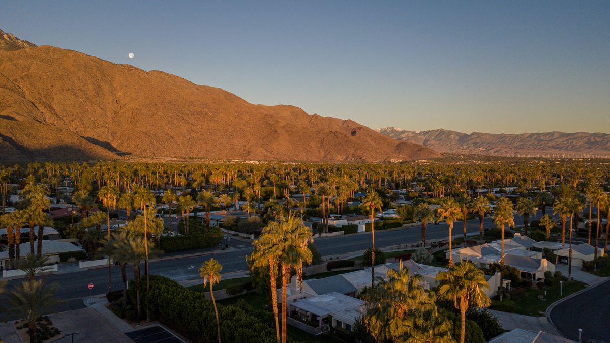A mid-century house with palms and mountains in Palm Springs