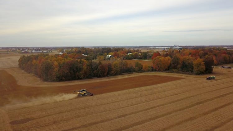 Tractors On The Farm Fields