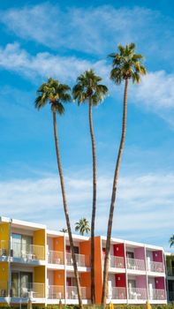 Vibrant hotel facade with palm trees in Palm Beach, Florida under a blue sky.