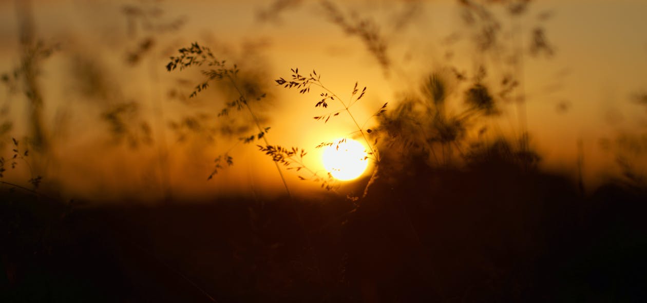 Free stock photo of sun, sun setting, sunset