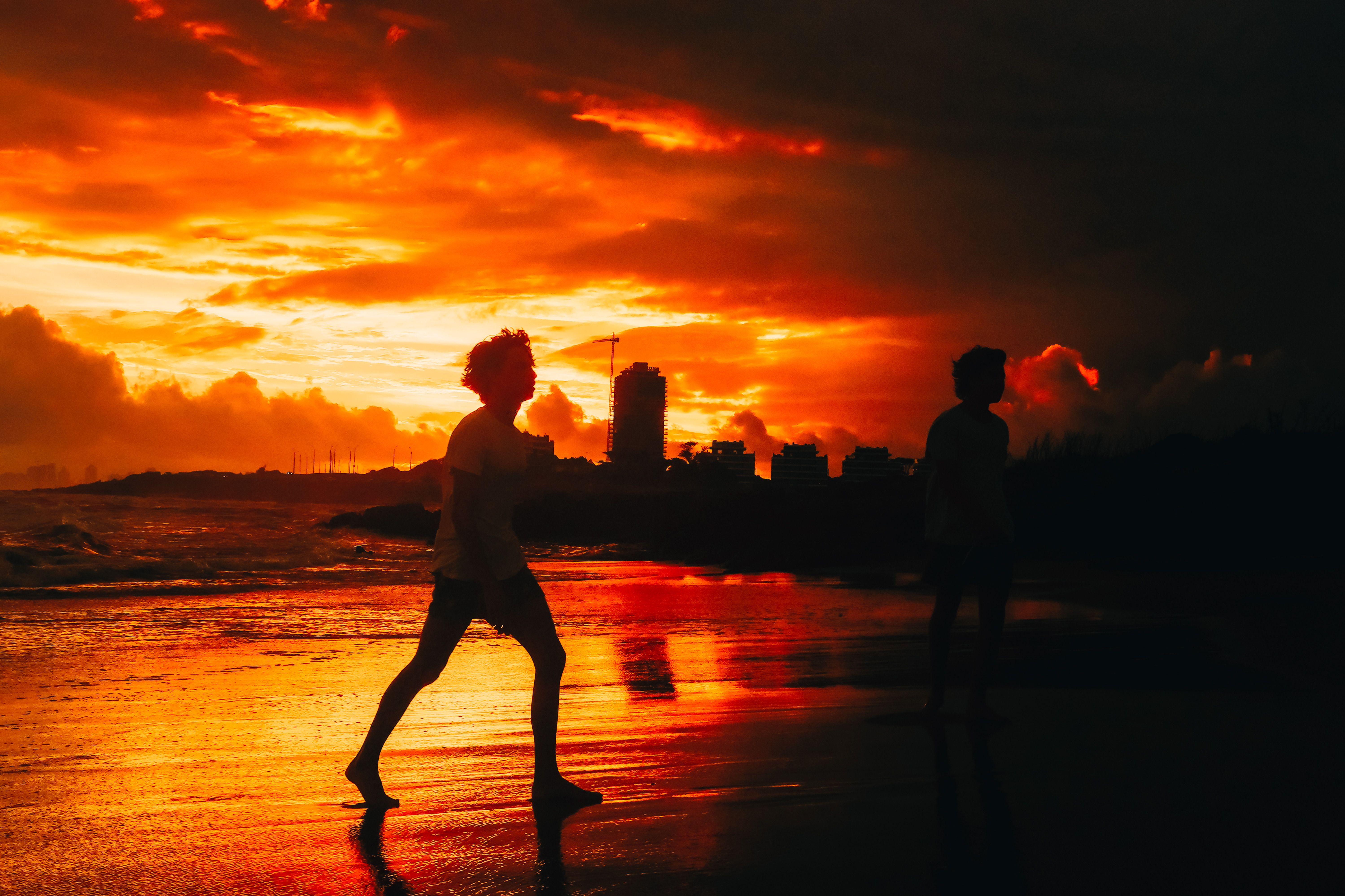 Silhouette of People Walking on Beach during Sunset · Free Stock Photo