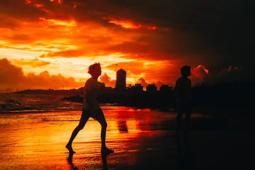 Silhouette of People Walking on Beach during Sunset