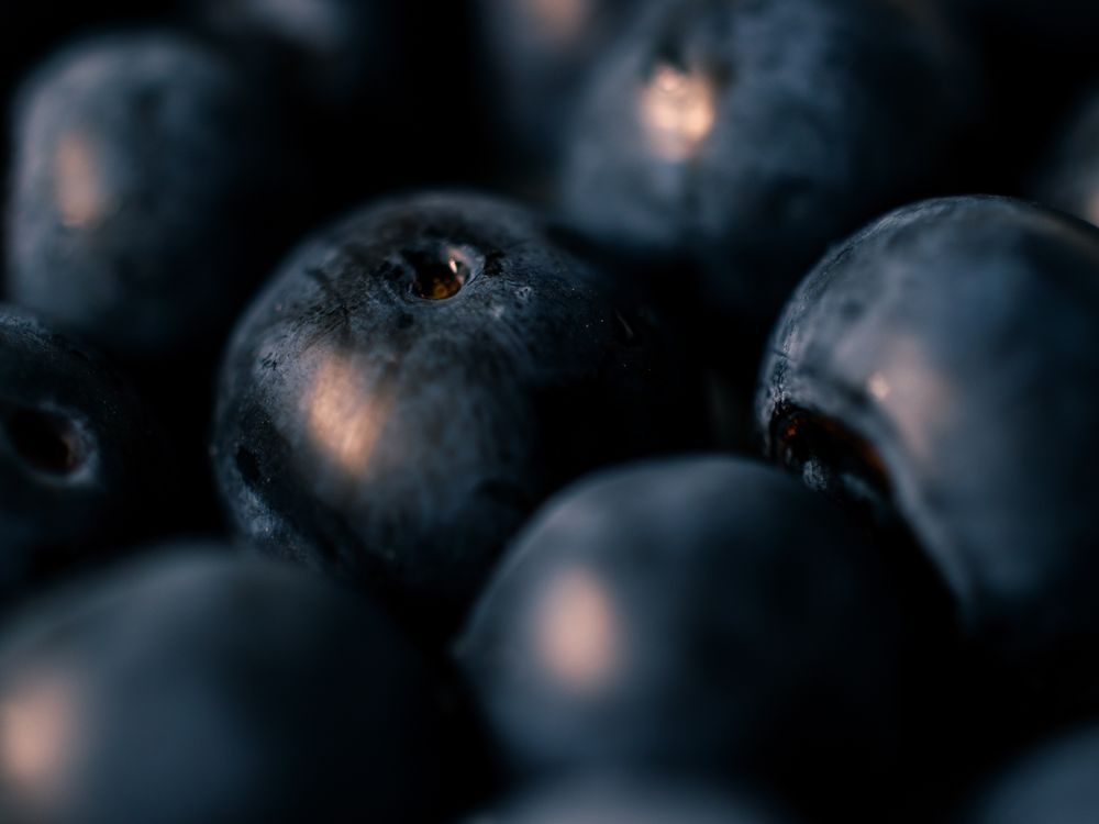 Extreme Close up Of Blueberries Free Stock Photo 200-000-free-blueberries-close-up-blueberry-images-pixabay