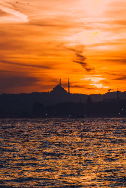 Silhouette of Buildings during Sunset